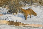 bruno liljefors Winter Landscape with a Fox painting
